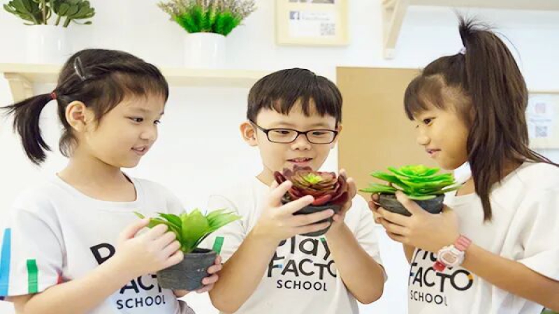 为什么培飞坚持使用实体教具？因为孩子的思维不是凭空长出来的